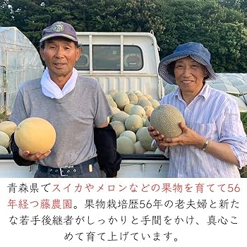 Amazon.co.jp: 藤農園 屏風山地帯メロン タカミメロン ｜ 青森県